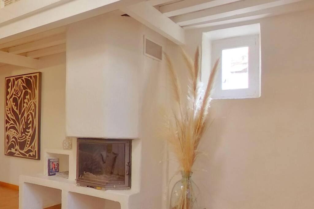 Appartement Grand Duplex Lumineux-hyper Centre Arles
